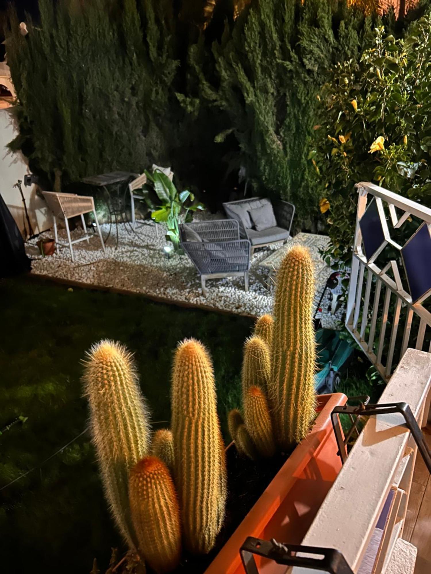 Apartamento Con Encanto Cerca De La Playa El Rosario Marbella Eksteriør billede